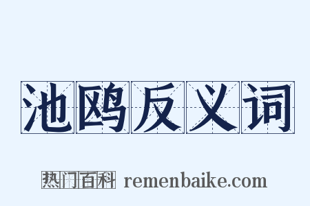 池鸥反义词是什么意思的图片